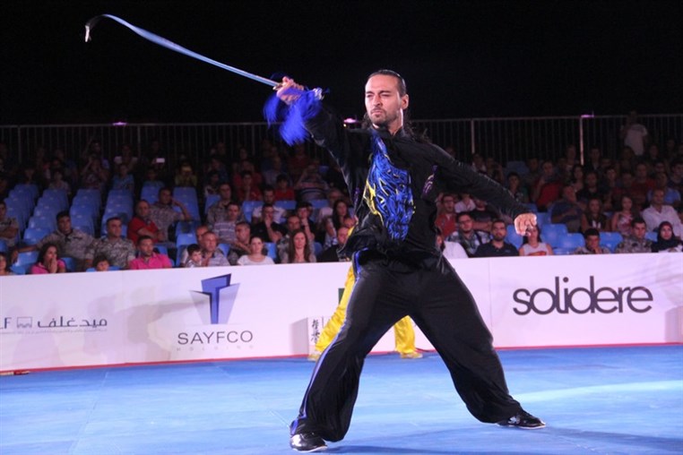 Martial Arts Festival
